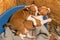 Funny small babies two Basenji puppies dogs are sleeping