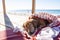 Funny small dog sleeps under a blanket, lying on the bungalow