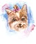 The funny small Yorkshire terrier puppy on white background  handmade with watercolors  fashion print, poster, textiles.