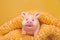 Funny smiling rubber pig toy stands in a woolen openwork scarf against yellow background