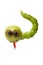 Funny snake made of green fruits