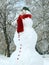 Funny snowman closeup