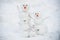 Funny snowman family on the snow