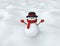 Funny snowman in a hat with a red wool scarf and mittens