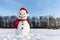 Funny snowman in red hat