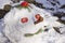 A funny snowman was made of snow. Snowman with barbecue in his nose