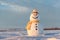 Funny snowman in yellow hat