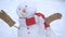 Funny snowmen. Snow man is standing in winter scarf with red nose and wish Merry Christmas and Happy new year.