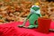 Funny soft toy prince frog with cup of tea on red carpet and fallen leaves waiting for love and princess.