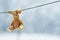Funny soft toy rabbit hanging from a rope wearing a clothespin o