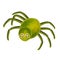 Funny spider, made from fruits and vegetables