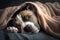 funny staffordshire terrier puppy lying covered in throw blanket and falling asleep, Generative AI