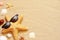 Funny starfish and seashells on the summer beach with sand