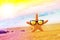 Funny starfish with sunglass on the sandy beach