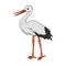 Funny stork. Vector isolated illustration.