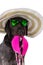 Funny summer black dog with summer accessories.