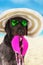 Funny summer black dog with summer accessories.