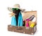 Funny summer black dog with summer accessories.