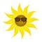 Funny sunflower in sunglasses. Cartoon style. Vector illustration on a white background
