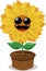 Funny sunflower wearing sunglasses