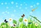 Funny sunny summer grassland with insects