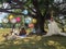 Funny surprise, a picnic in the park, romantic lunch under big tree, decoration idea