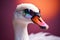 Funny swan or duck wearing sunglasses in studio with a colorful and bright background. Generative AI