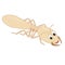 Funny termite cartoon