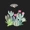 Funny thickets of blooming cacti on a black background in the vector. Cute cartoon illustration