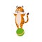 Funny tiger balancing on a green ball, wild animal performing acrobat tricks, cartoon circus animal isolated vector