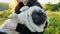 Funny tired fat pug dog relax on owner hands, woman hugs and scratch pet