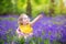 Funny toddler girl in bluebell flowers in spring forest