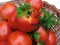 Funny tomato in a wicker basket and parsley leaves