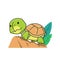 Funny Tortoise Turtle Walking Climbing Rock Exotic Reptile Cartoon