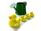 Funny Toy Ducklings near Green Watering can