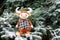 A funny toy orange Bull sits on a snow covered Christmas tree. Symbol of new year 2021, beautiful bull in winter