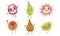 Funny Tropical Fruit Characters Set, Dragon, Snake Fruit, Guava, Rambutan Vector Illustration