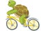 Funny Turtle. Biker.