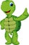 Funny turtle cartoon