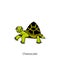 Funny turtle color