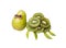 Funny turtle made of kiwi and pear
