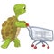 Funny Turtle. Shopping.