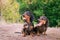 Funny two dog breeds dachshund, black and tan, stand their tongue out smiling against background of green trees in the park in s