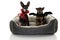 FUNNY TWO DOS DRESSED WITH A VAMPIRE AND BAT COSTUME FOR HALLOWEEN OR CARNIVAL SITTING ON A PET BED. ISOLATED AGAINST WHITE