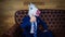 Funny unicorn in elegant suit sits on sofa like a boss and showing gesture