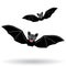 Funny vampire bat on a white background.