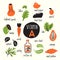 Funny vector caroon illustration of Vitamin A rich foods.