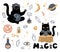 Funny vector magic set. Witchcraft and occultism symbols: black cat, skull, Ouija board,  moon, crystals, stars, tarot, test-tubes