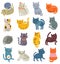 Funny vector set of cats. Collection of cute characters