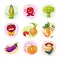 Funny Vegetable Characters Set